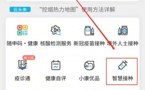 上海hpv疫苗接种记录查询方式？