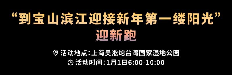 2025上海宝山滨江跨年烟花无人机秀