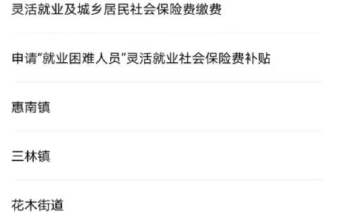 上海灵活就业登记网上办理指南