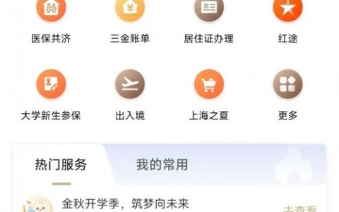 2024年上海大学生医保领取指南