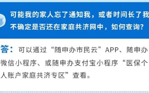 上海医保家庭共济查询指南