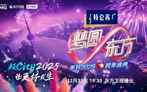 2025各大卫视跨年演唱会明星阵容大揭秘