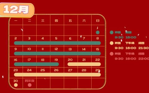 2025上海欢乐谷元旦跨年无人机烟花秀