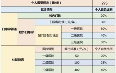 2024年上海大学生医保待遇详解
