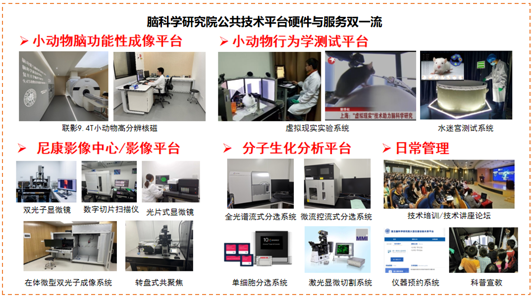 复旦大学脑科学研究院/脑功能与脑疾病全国重点实验室诚邀申请2025年度海外优青