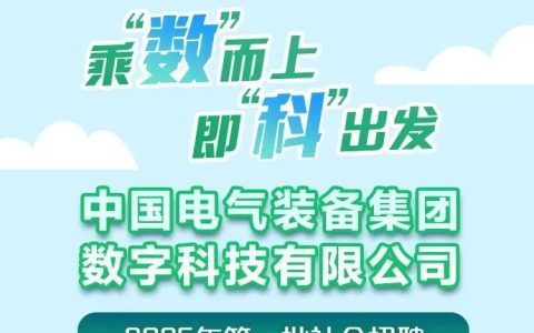 中国电气装备集团数字科技有限公司招聘公告