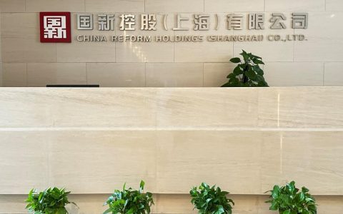国新控股(上海)有限公司总经理公开招聘公告