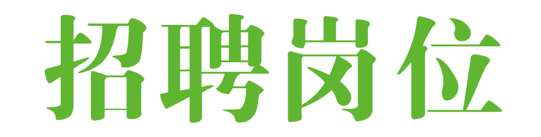 新普陀小学东校2025年秋季教师招聘、实习教师招募