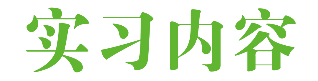 新普陀小学东校2025年秋季教师招聘、实习教师招募