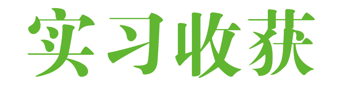 新普陀小学东校2025年秋季教师招聘、实习教师招募
