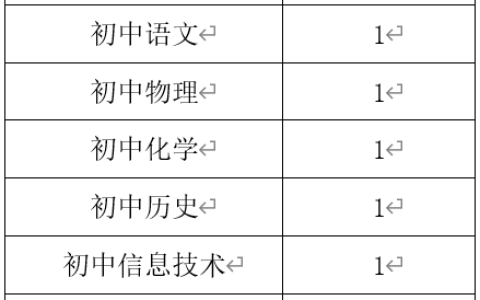 上海市新中初级中学教师招聘公告