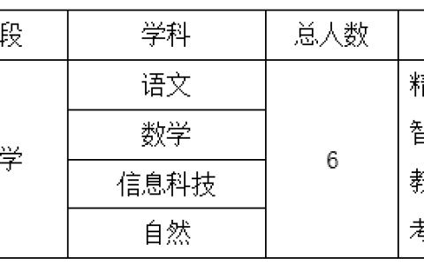 上海市松江区实验小学教师招聘启事（2026年第一批）