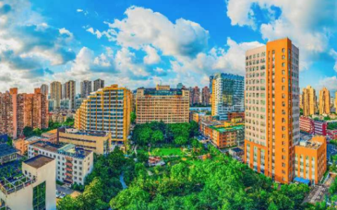 2026年上海市第六人民医院招聘启事