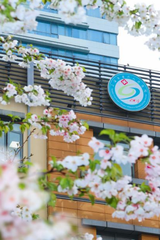 2026年上海市第六人民医院招聘启事