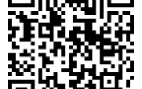 泗泾镇公开招聘镇属企业、城运中心合同制人员公告