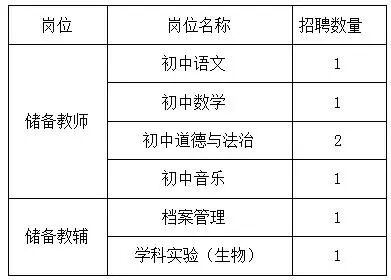 上海市洋泾菊园实验学校2026年储备教师教辅招聘和实习生招募公告